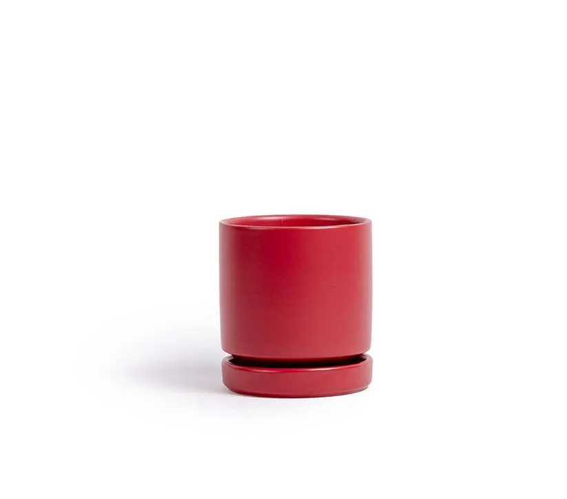 4.5" Cylinder Pot with Water Saucer | Textured Forest