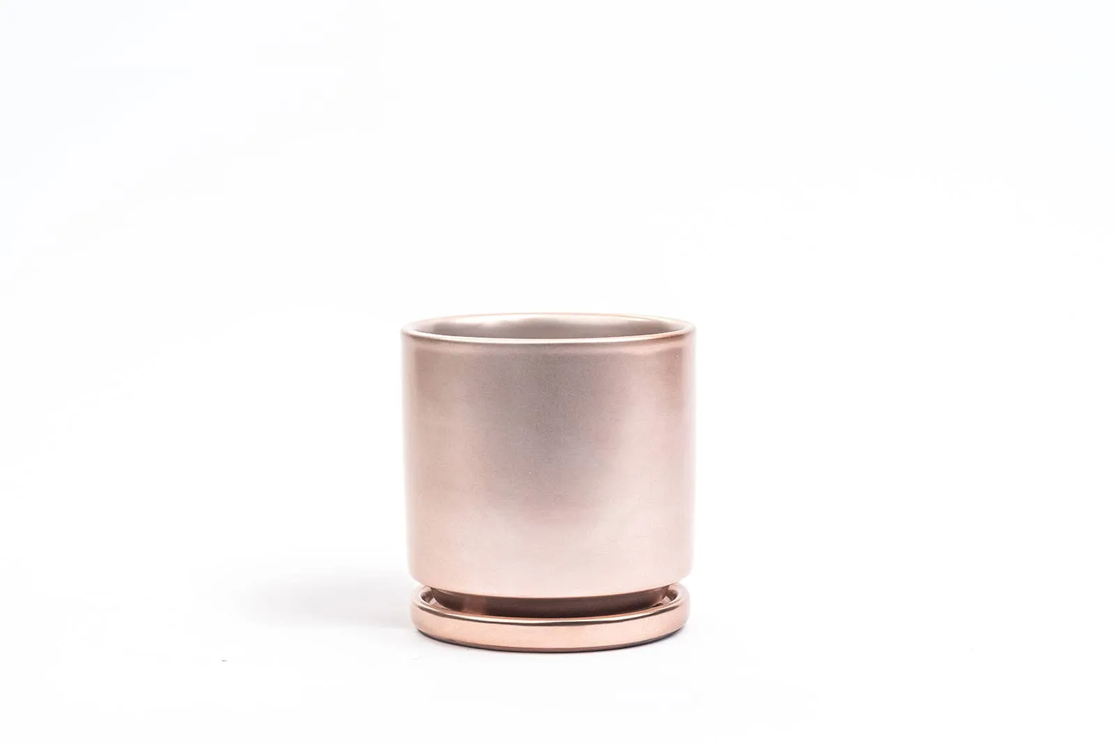 4.5" Cylinder Pot with Water Saucer | Textured Forest