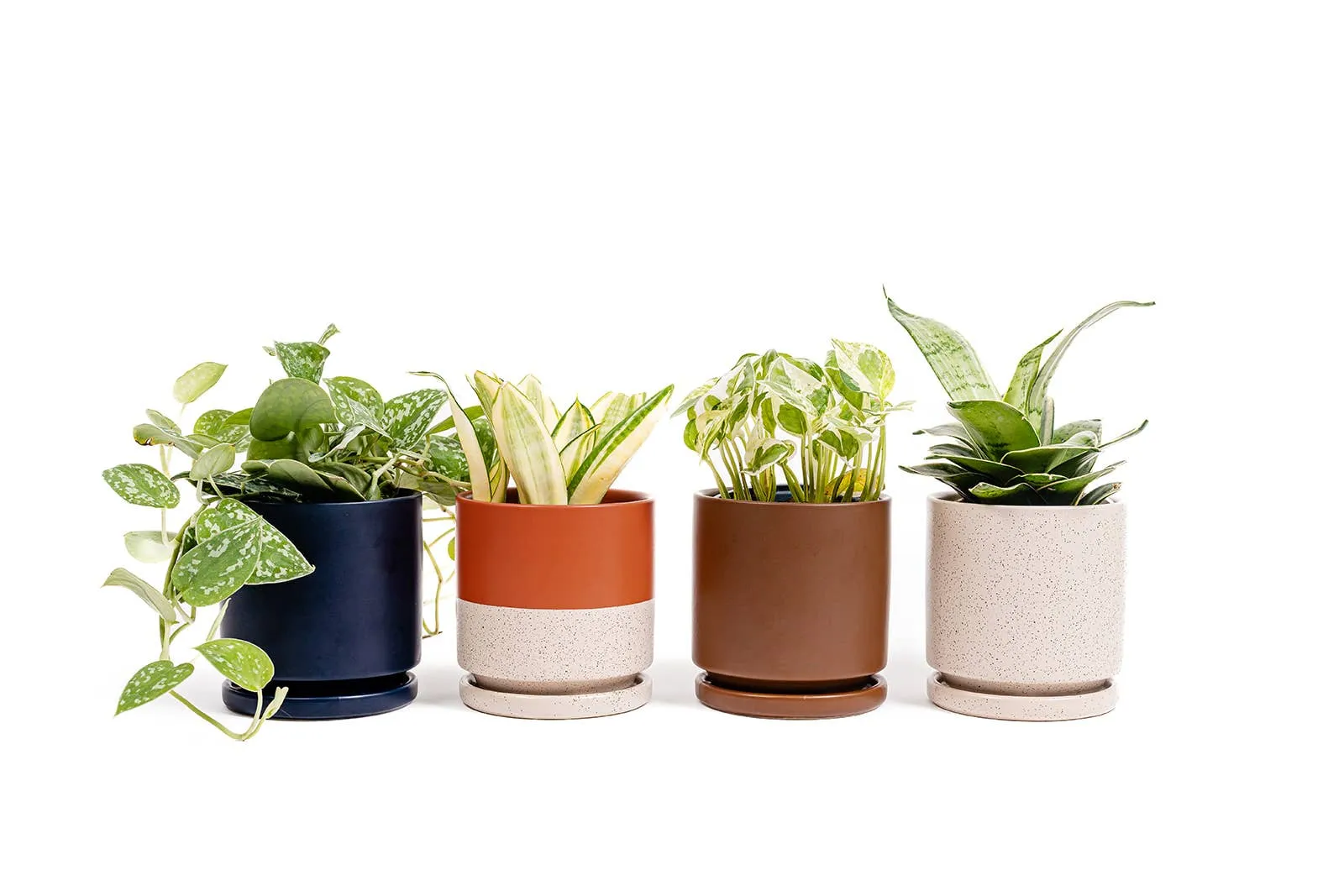 4.5" Cylinder Pot with Water Saucer | Textured Forest