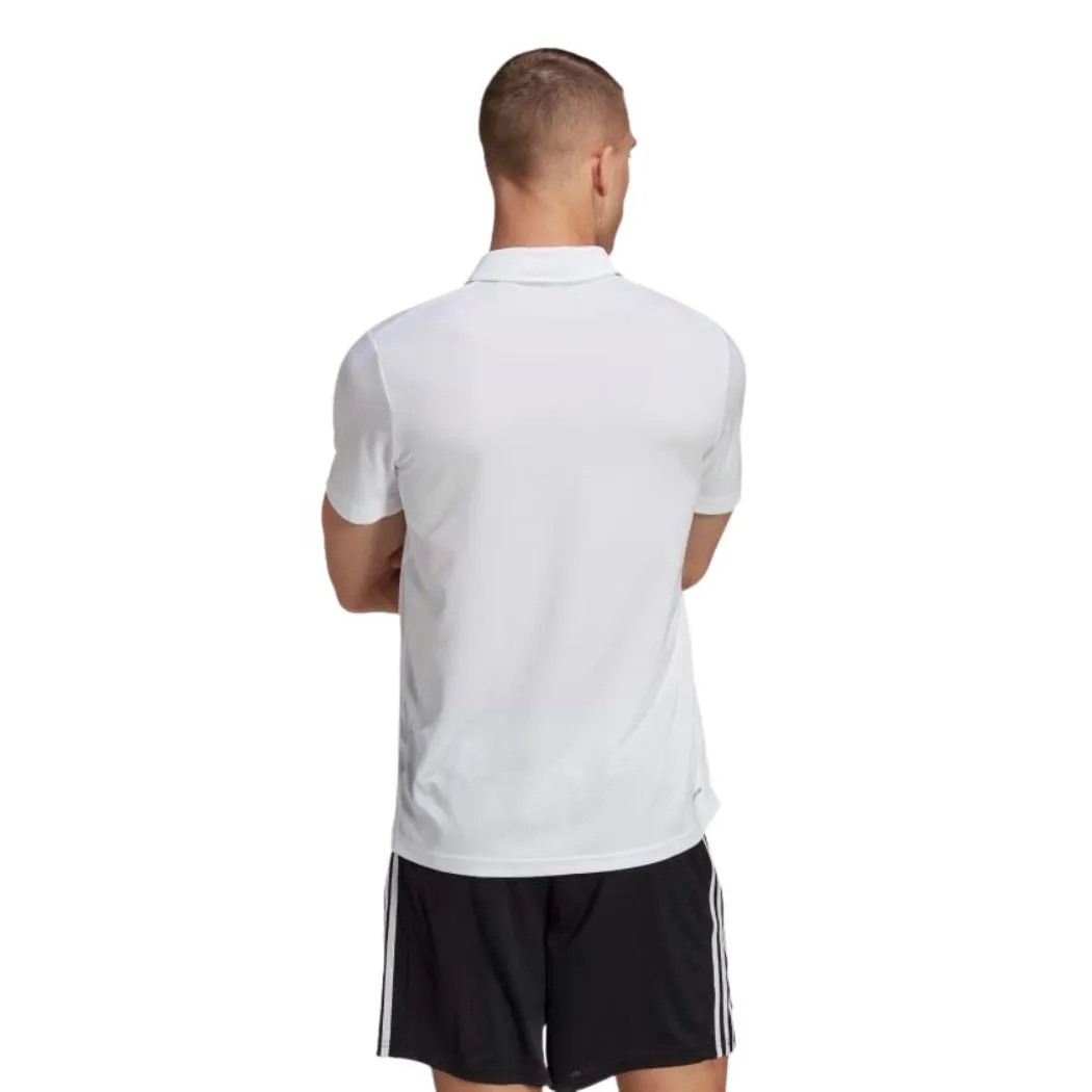 adidas Train Essentials Training Men's Polo Shirt
