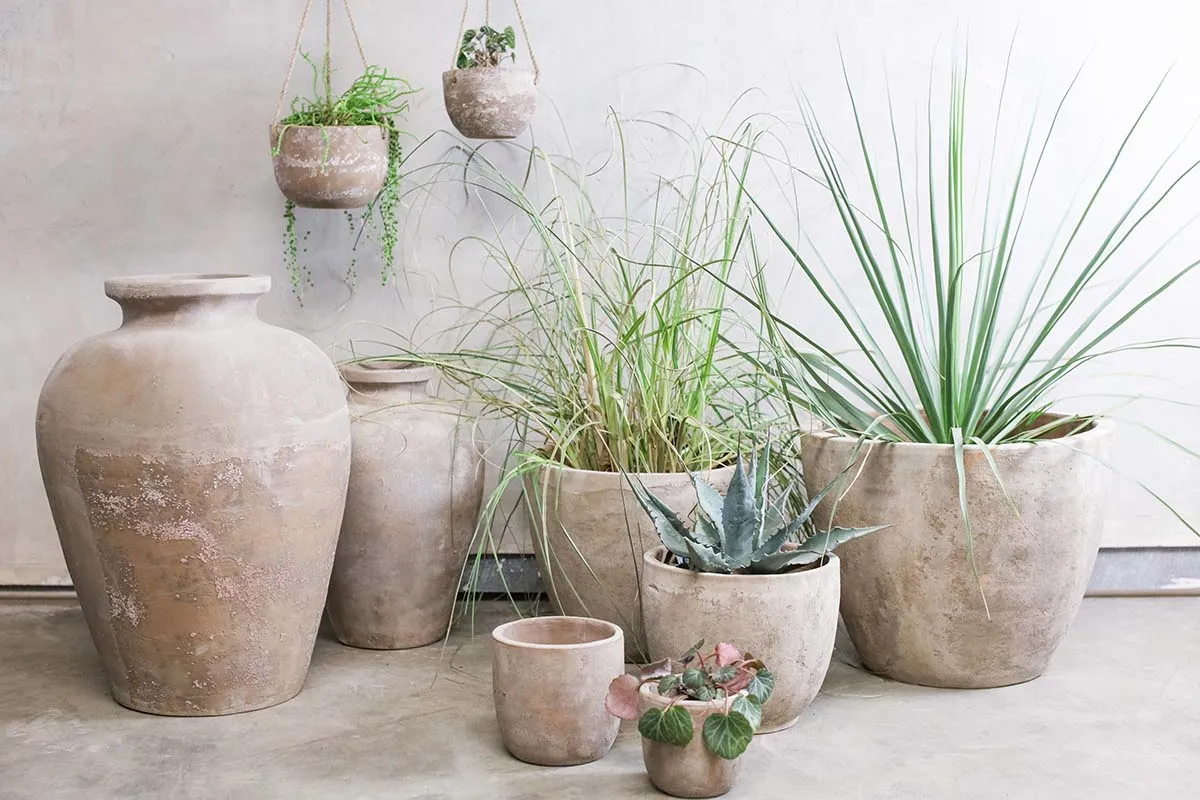Affiti Clay Tapered Pot - Large