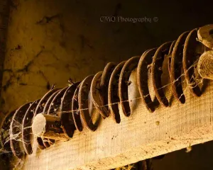 CMQ Photography: "Well Worn Shoes"