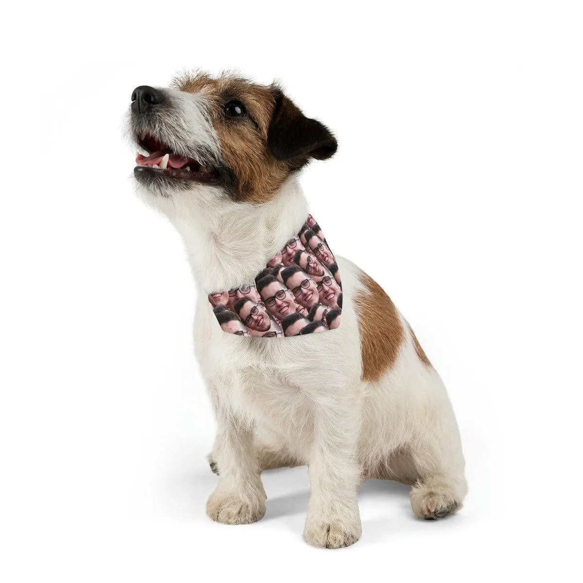 Crazy Faces Pet Bandana Collar