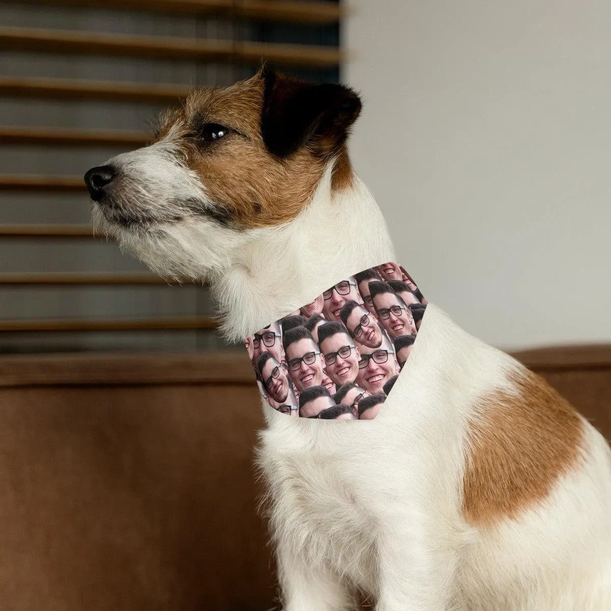 Crazy Faces Pet Bandana Collar