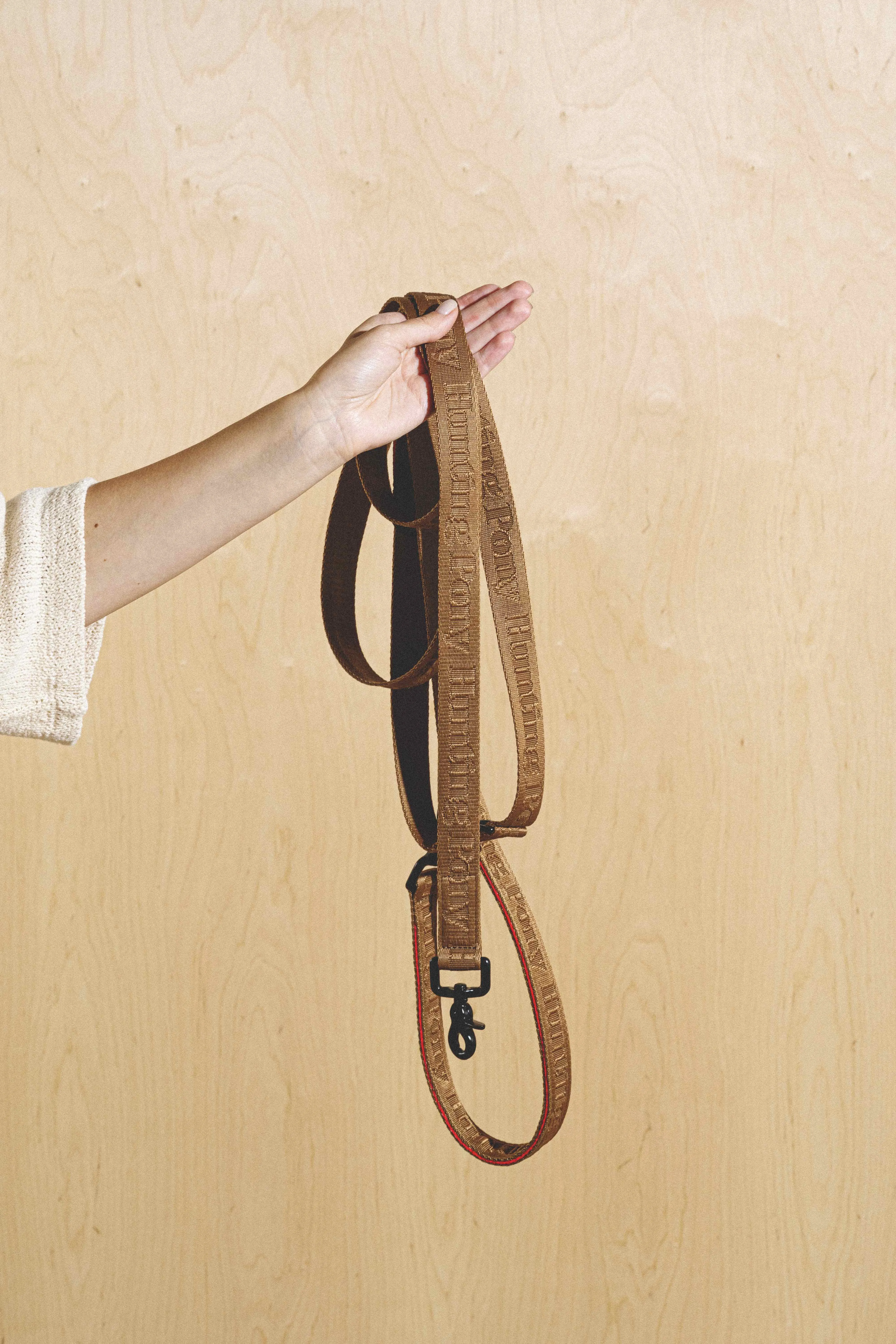 Dog-running leash Pony-Companiony Ginger