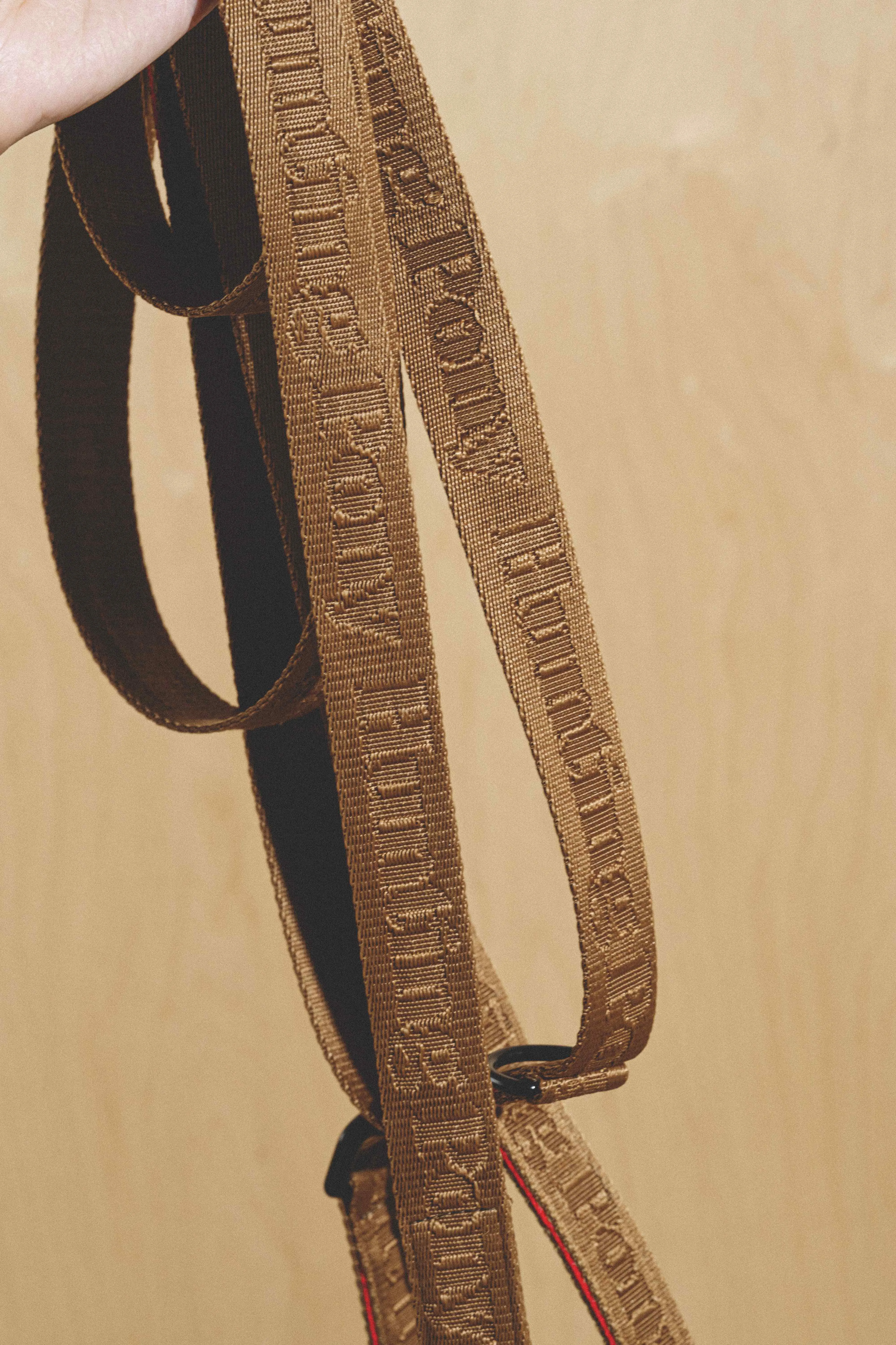 Dog-running leash Pony-Companiony Ginger