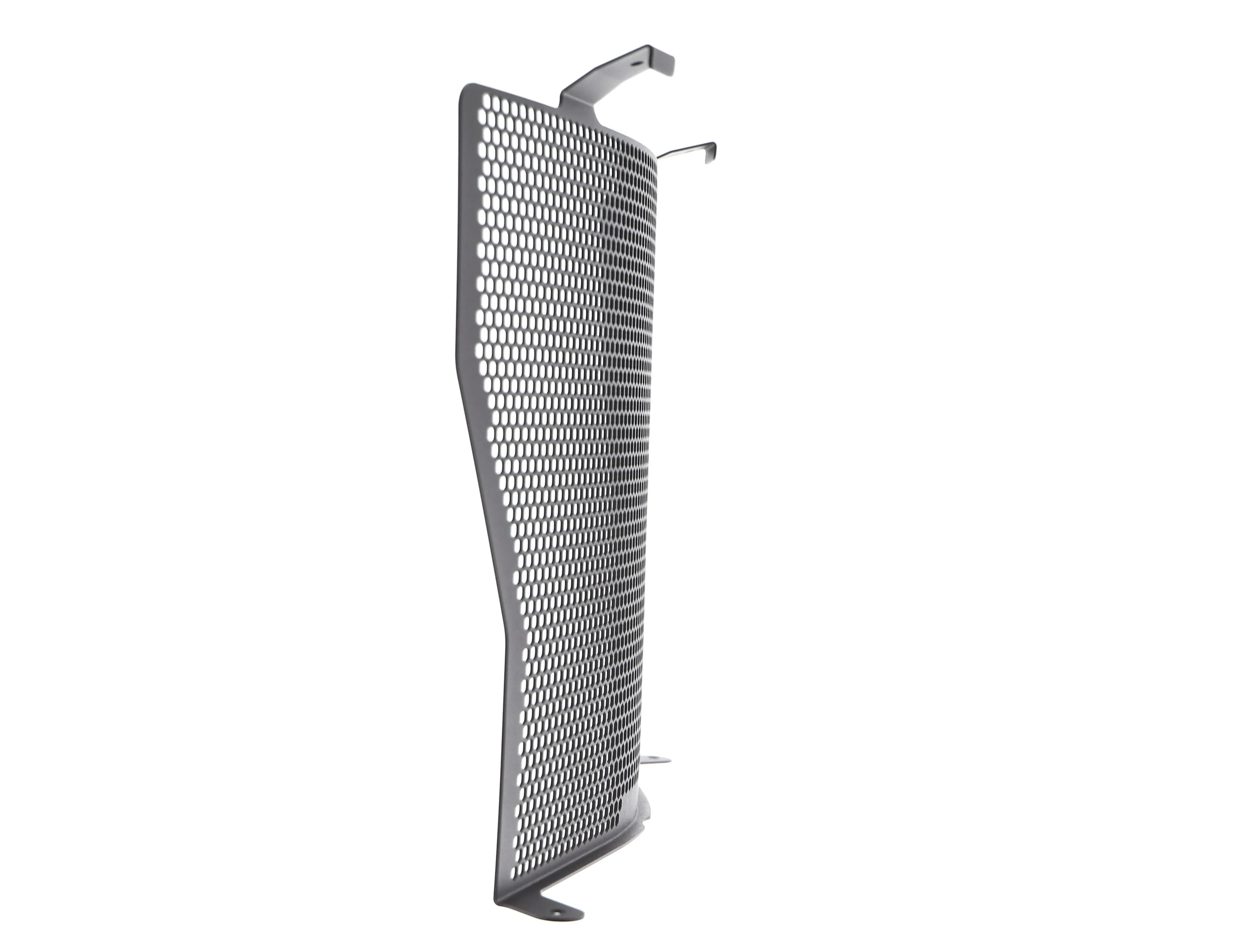 Evotech BMW S 1000 R Radiator Guard (2017-2020)