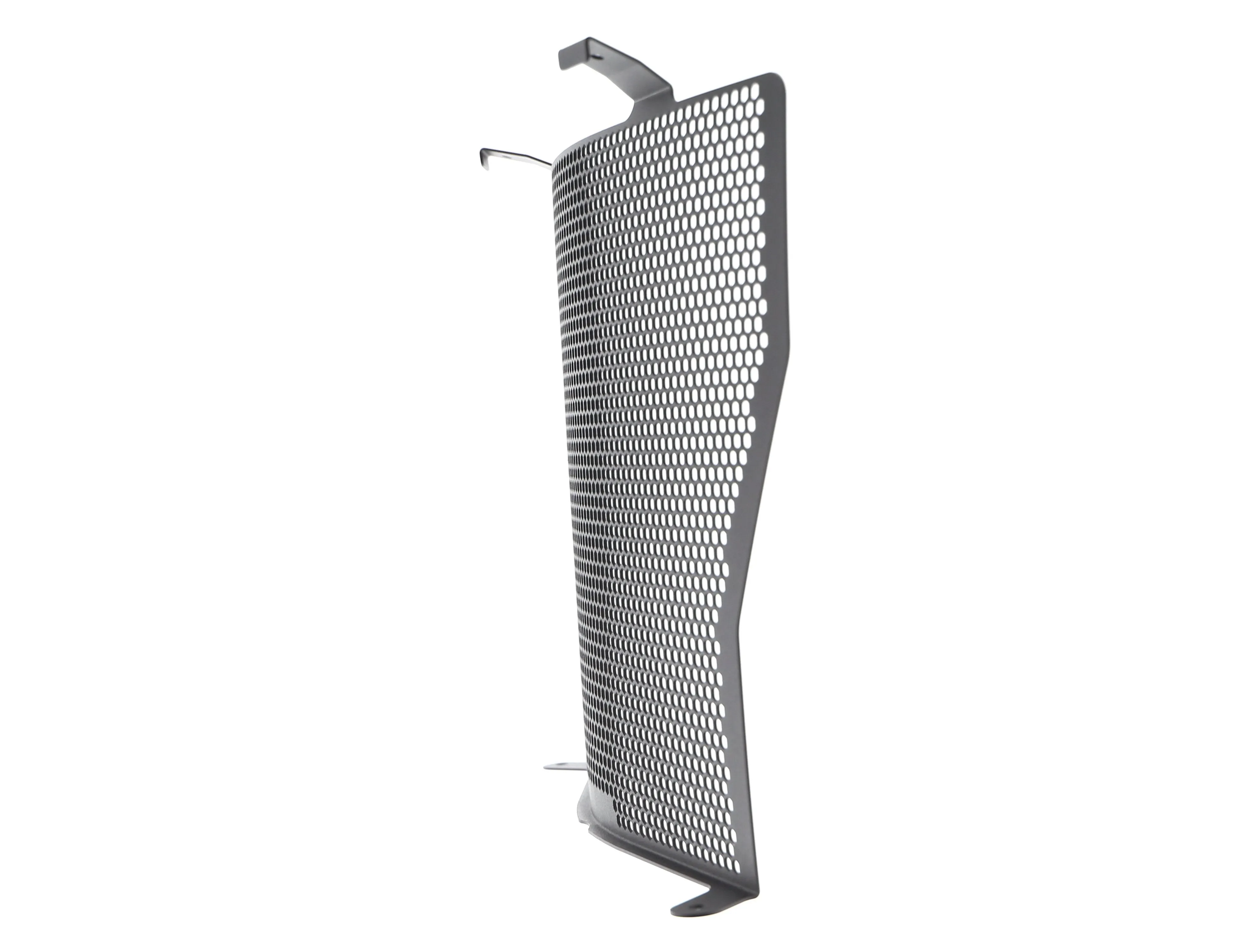 Evotech BMW S 1000 R Radiator Guard (2017-2020)