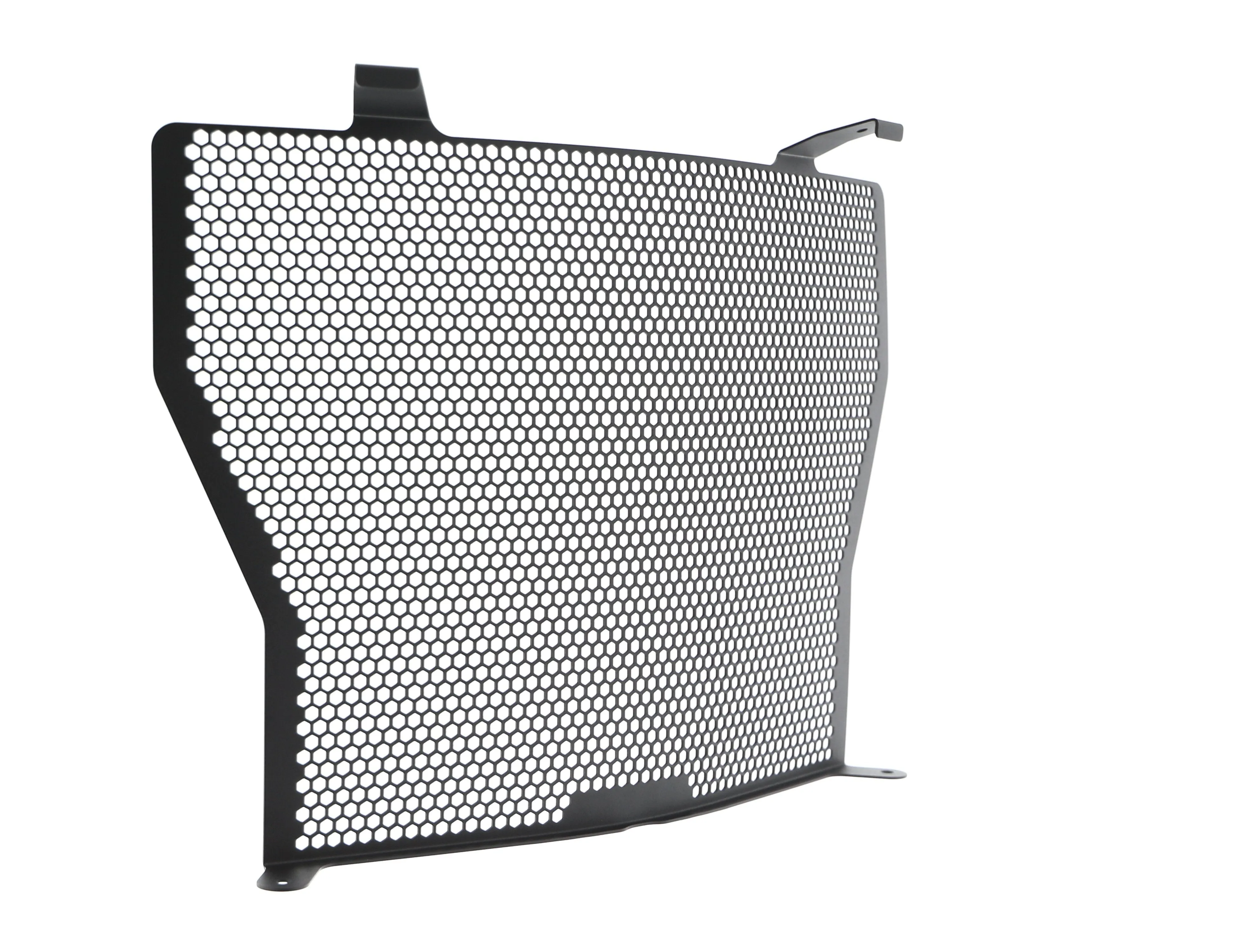 Evotech BMW S 1000 R Radiator Guard (2017-2020)