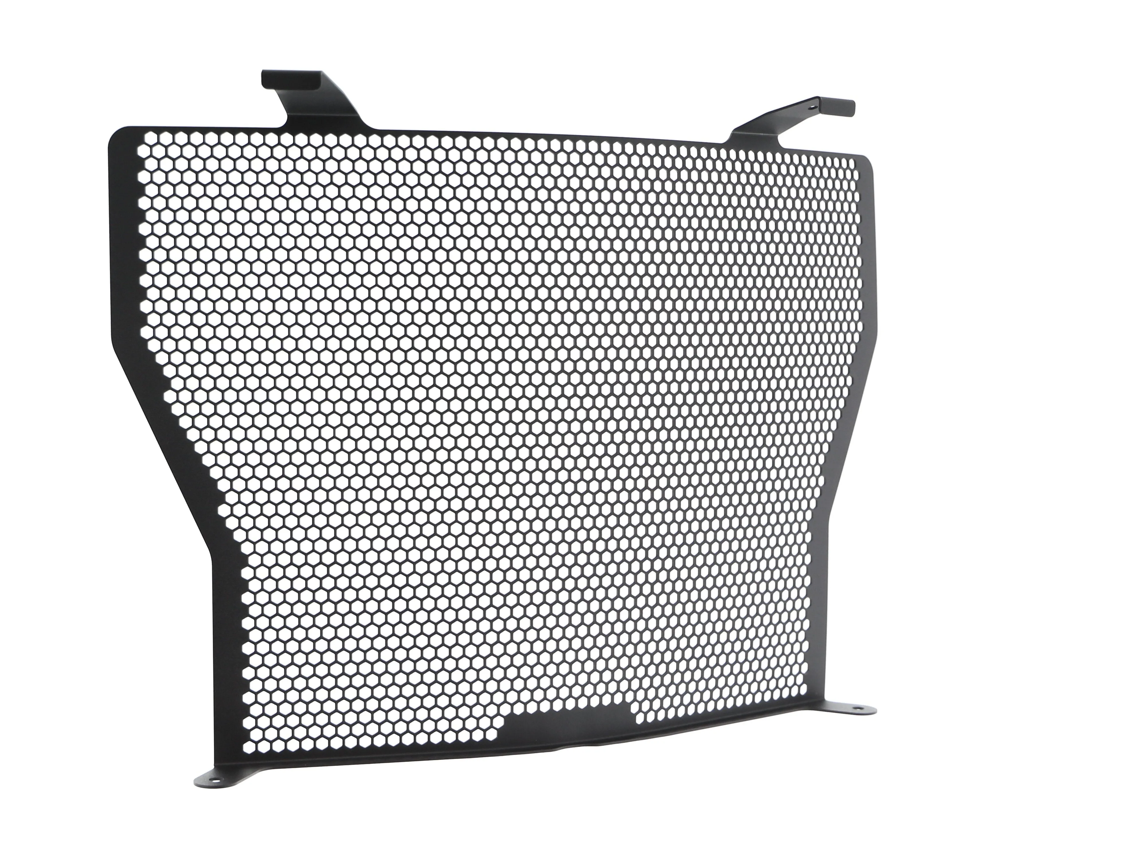 Evotech BMW S 1000 R Radiator Guard (2017-2020)