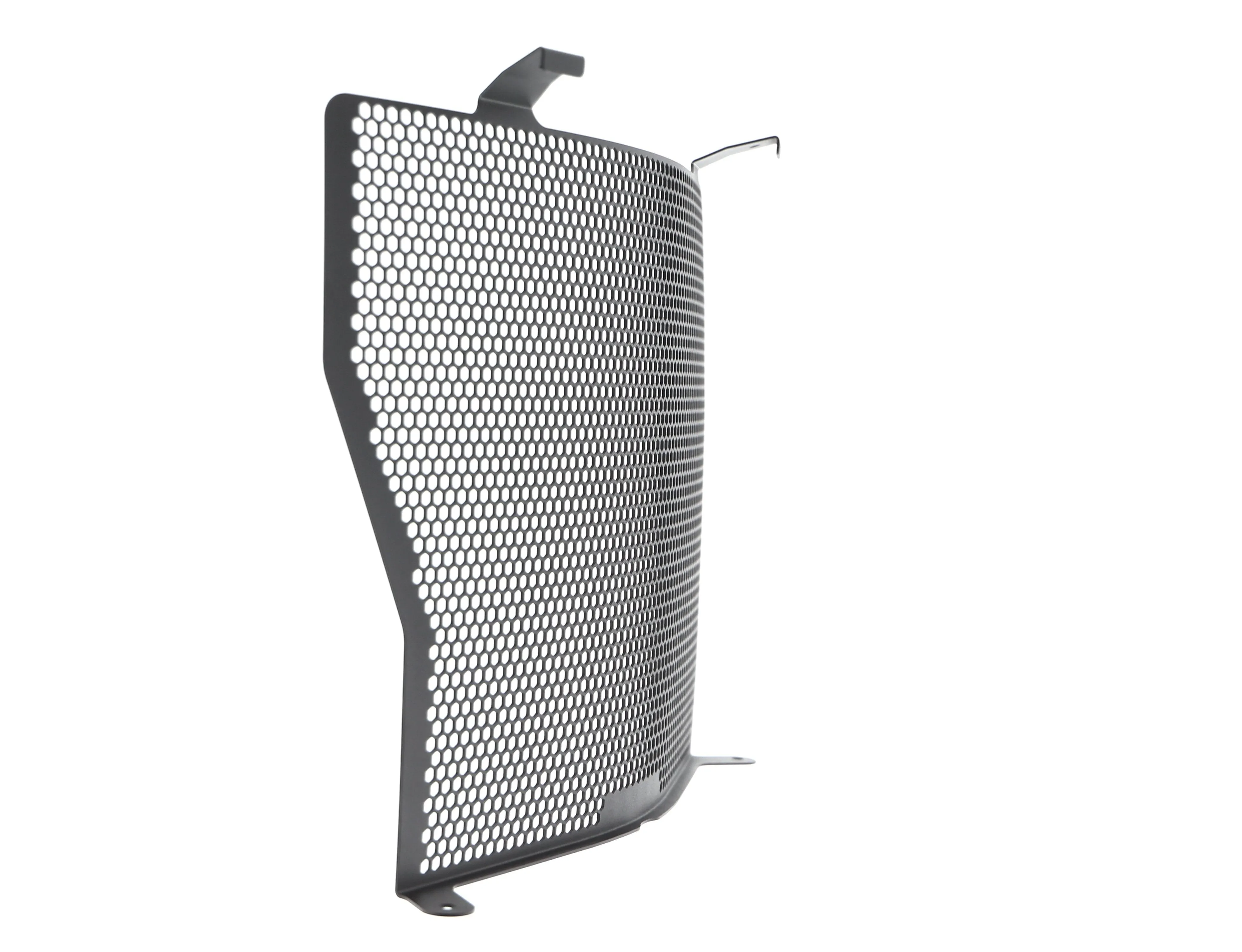 Evotech BMW S 1000 R Radiator Guard (2017-2020)