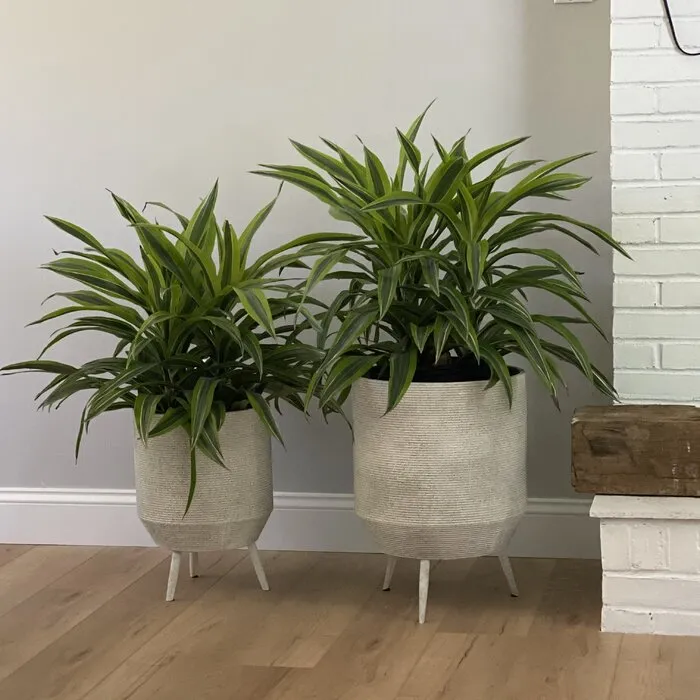 FirsTime & Co. Buena Vista Planter 2-Piece Set, American Crafted, Aged White, Indoor/Outdoor, 14 & 19", Retails $162 