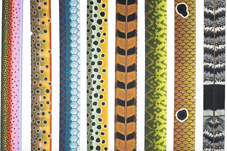 Fixed Length - Fish & Upland Print Dog Leash - Wholesale