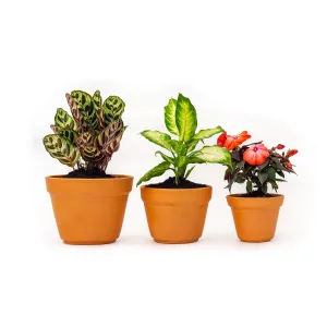 Hand Made Set of 3 Terracotta Plant Pots