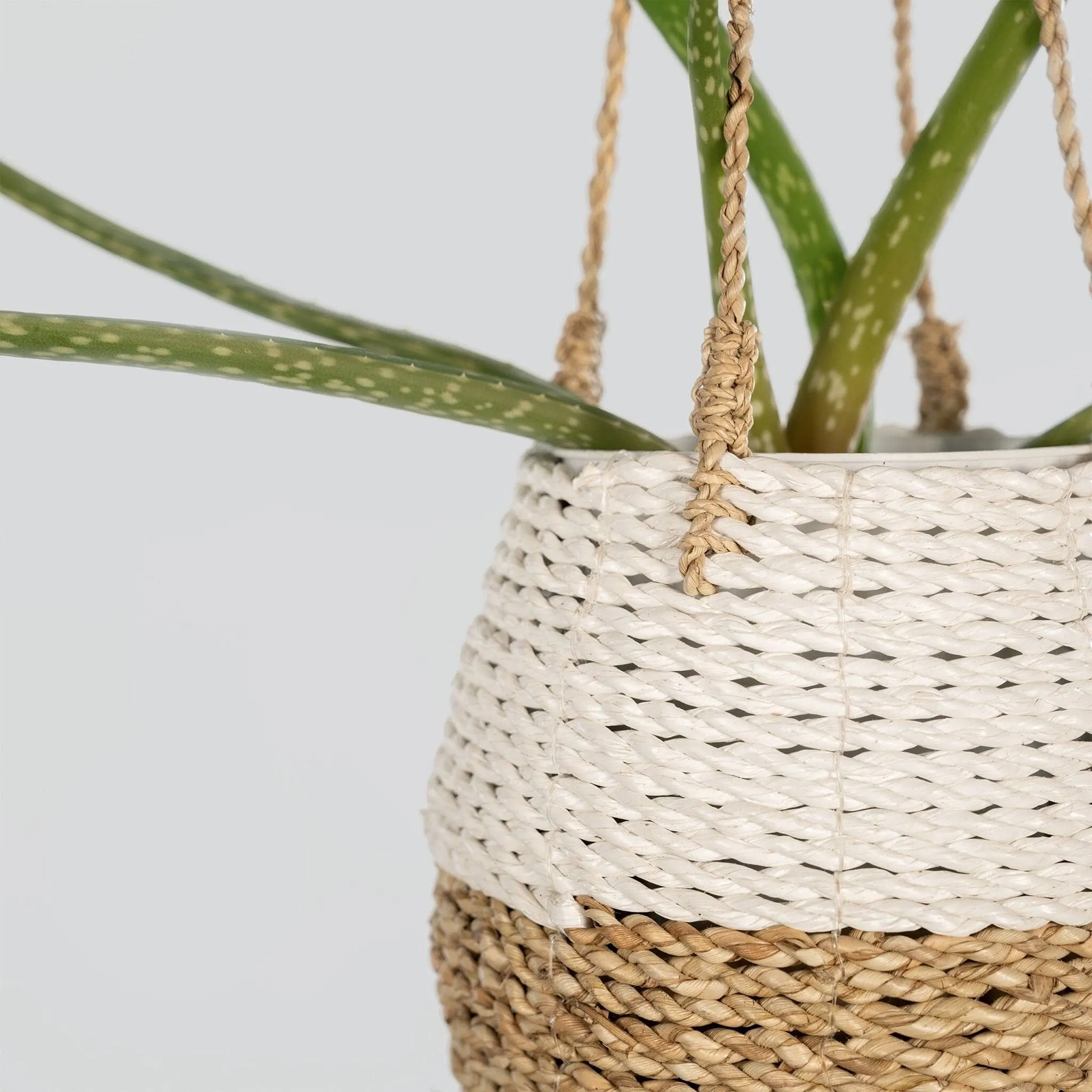 Hanging Pot Basket