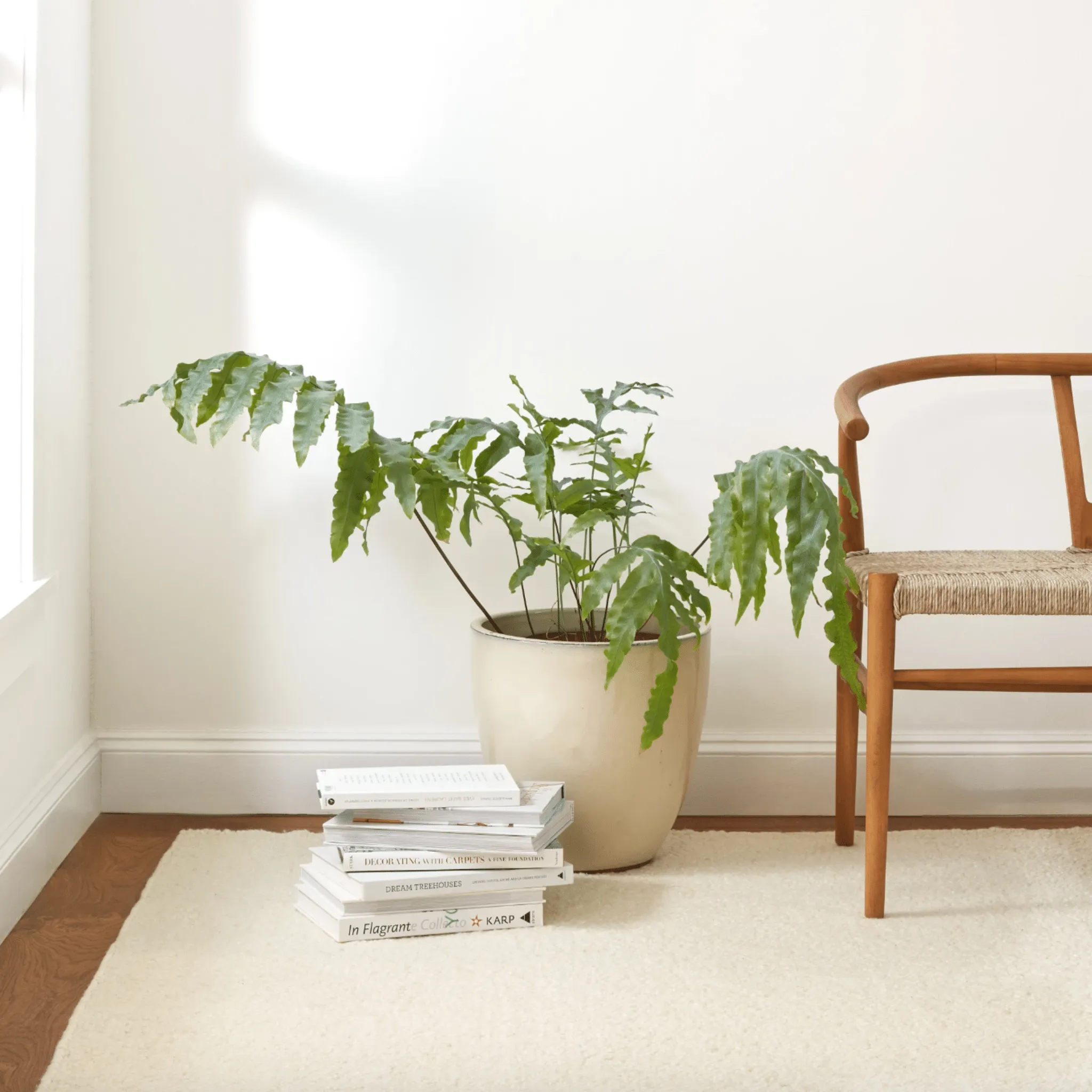 Holmstead Ivory Handwoven Wool Rug