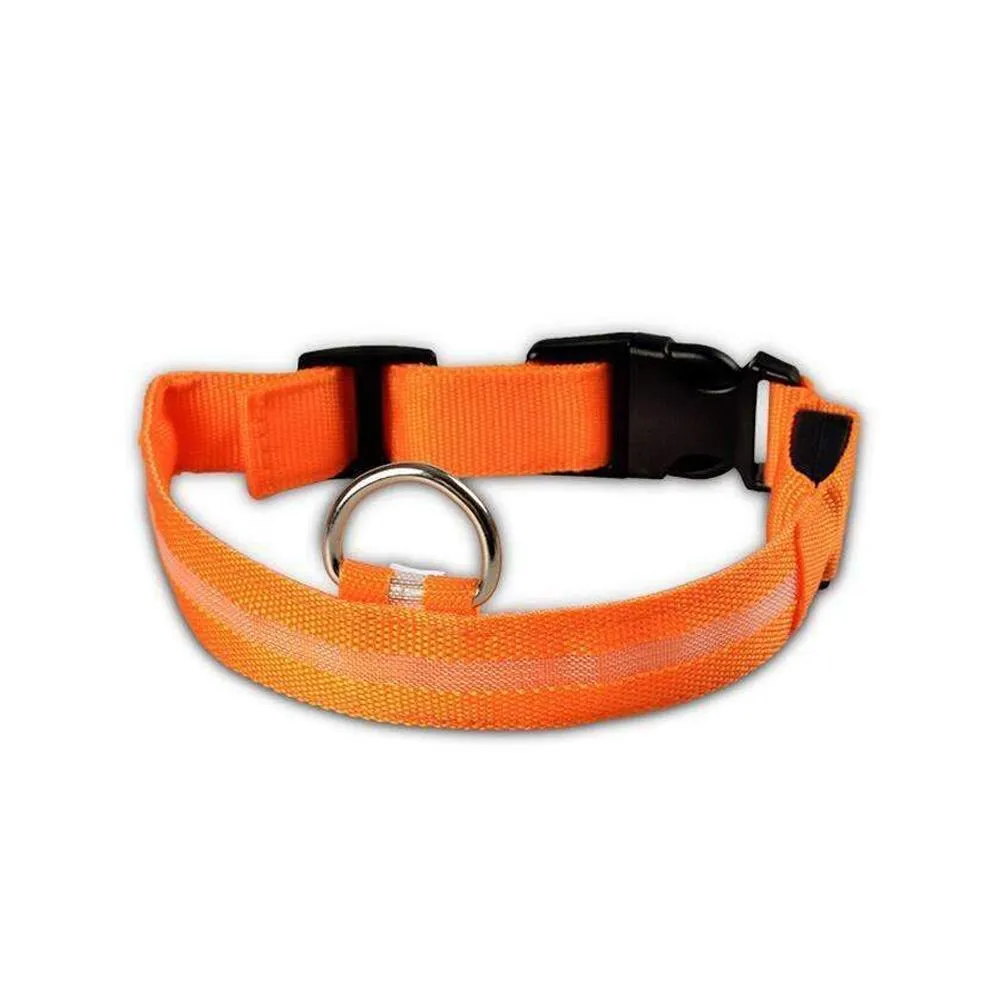 LED Pet Dog Collar