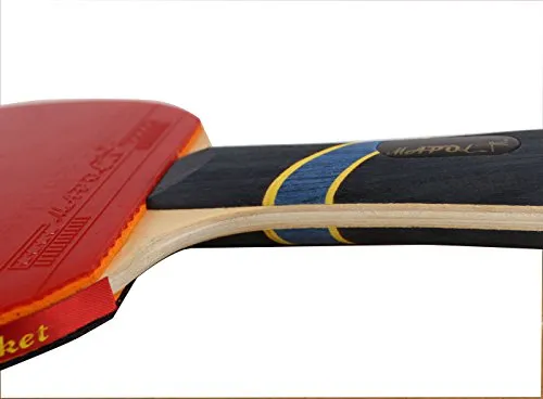 MAPOL 4 Star Professional Ping Pong Paddle Advanced Training Table Tennis Racket with Carry Case (2PCS)