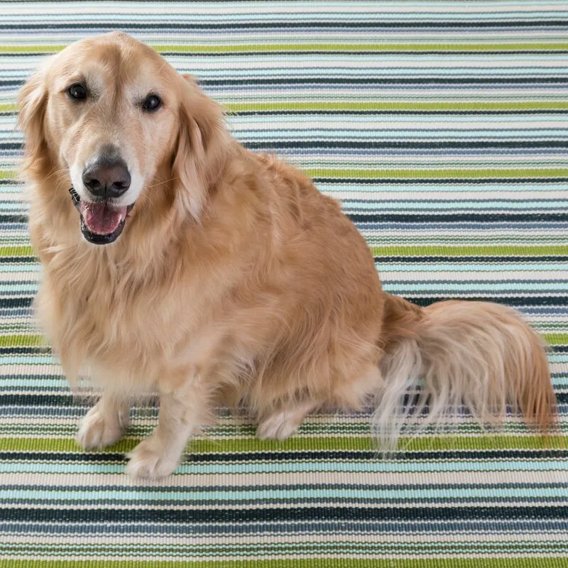 New Wayfair Dash & Albert Pond Stripe Striped Handmade Handwoven Blue/Green Indoor / Outdoor Area Rug, 2Ft X 3Ft! Retails $96 
