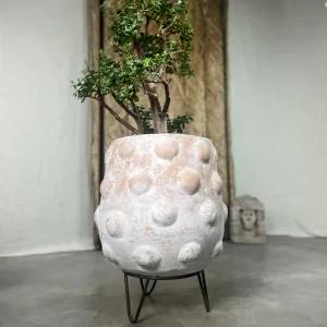 Node Planter, Large Terracotta Pot with Iron Stand.