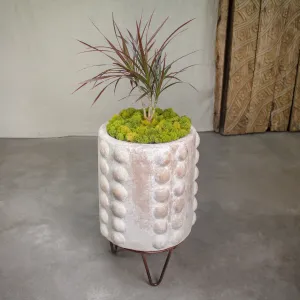 Node Planter, Terracotta Pot, Tall. Malto Finish