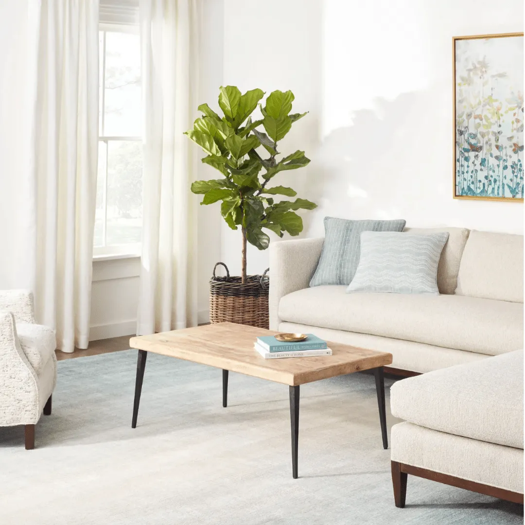 Pandora Sky Loom Knotted Rug
