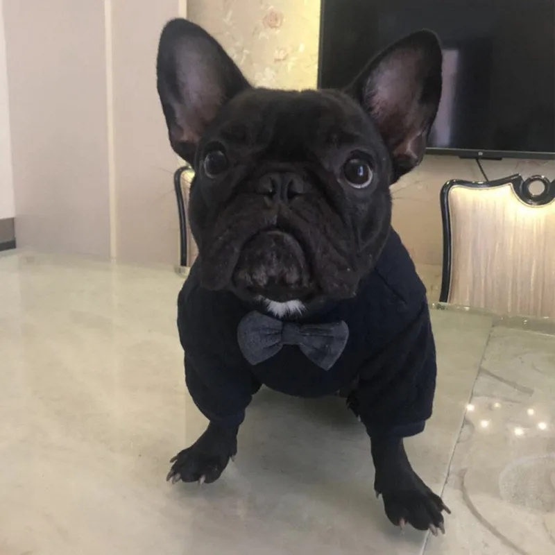Pet Bow Tie Sweater