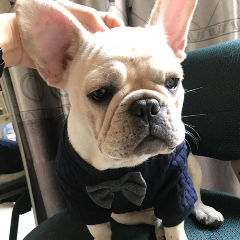 Pet Bow Tie Sweater