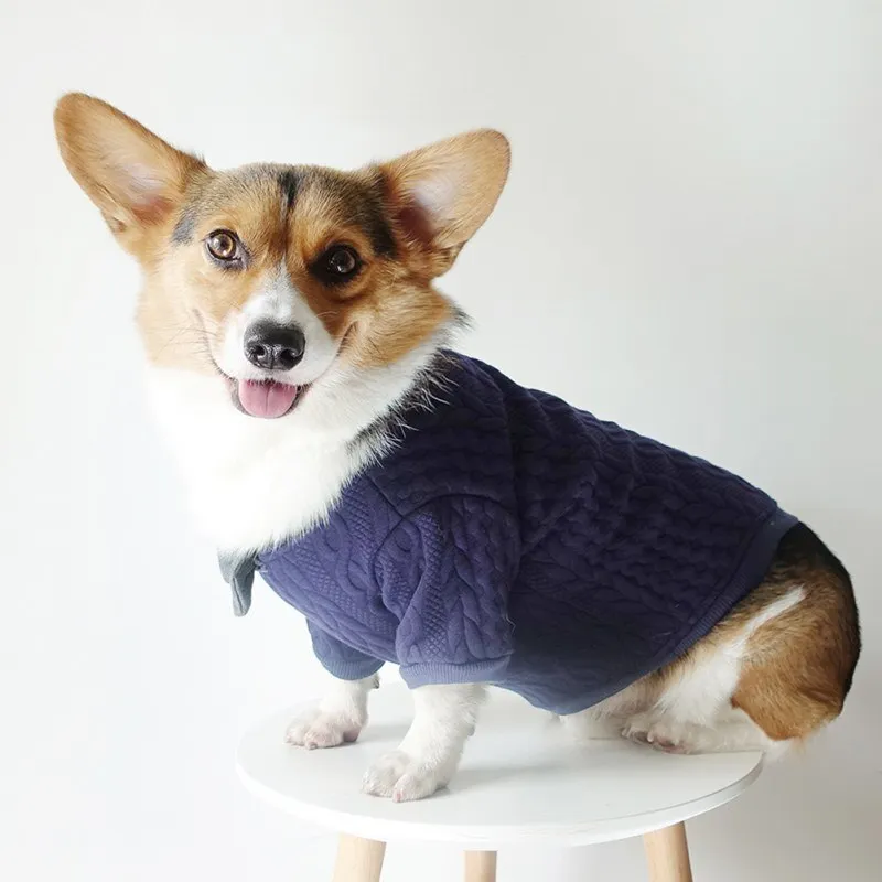 Pet Bow Tie Sweater