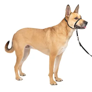 Petsafe Gentle Leader Head Collar