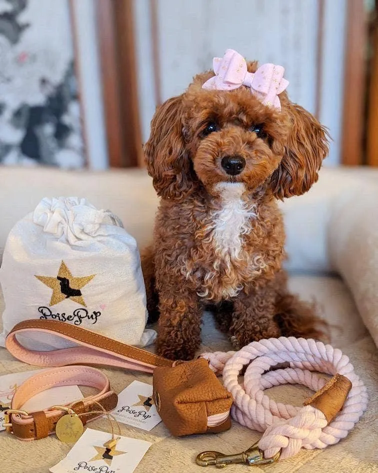 PoisePup - LEASH - BELLA ROSE