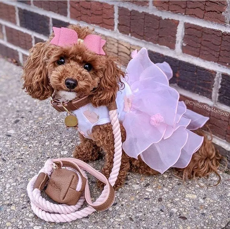 PoisePup - LEASH - BELLA ROSE