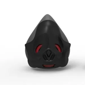 Pro Workout Mask
