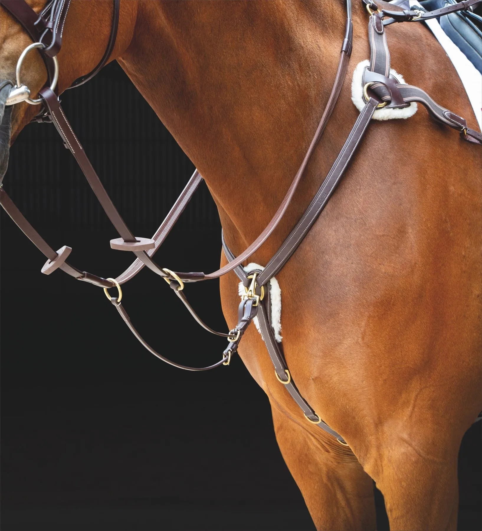 Shires Salisbury Five Point Breastplate