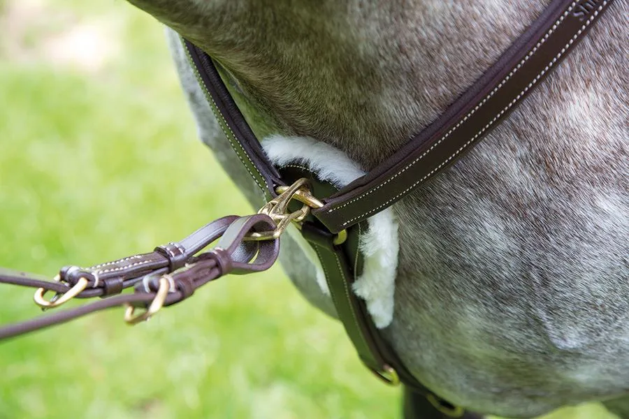 Shires Salisbury Five Point Breastplate
