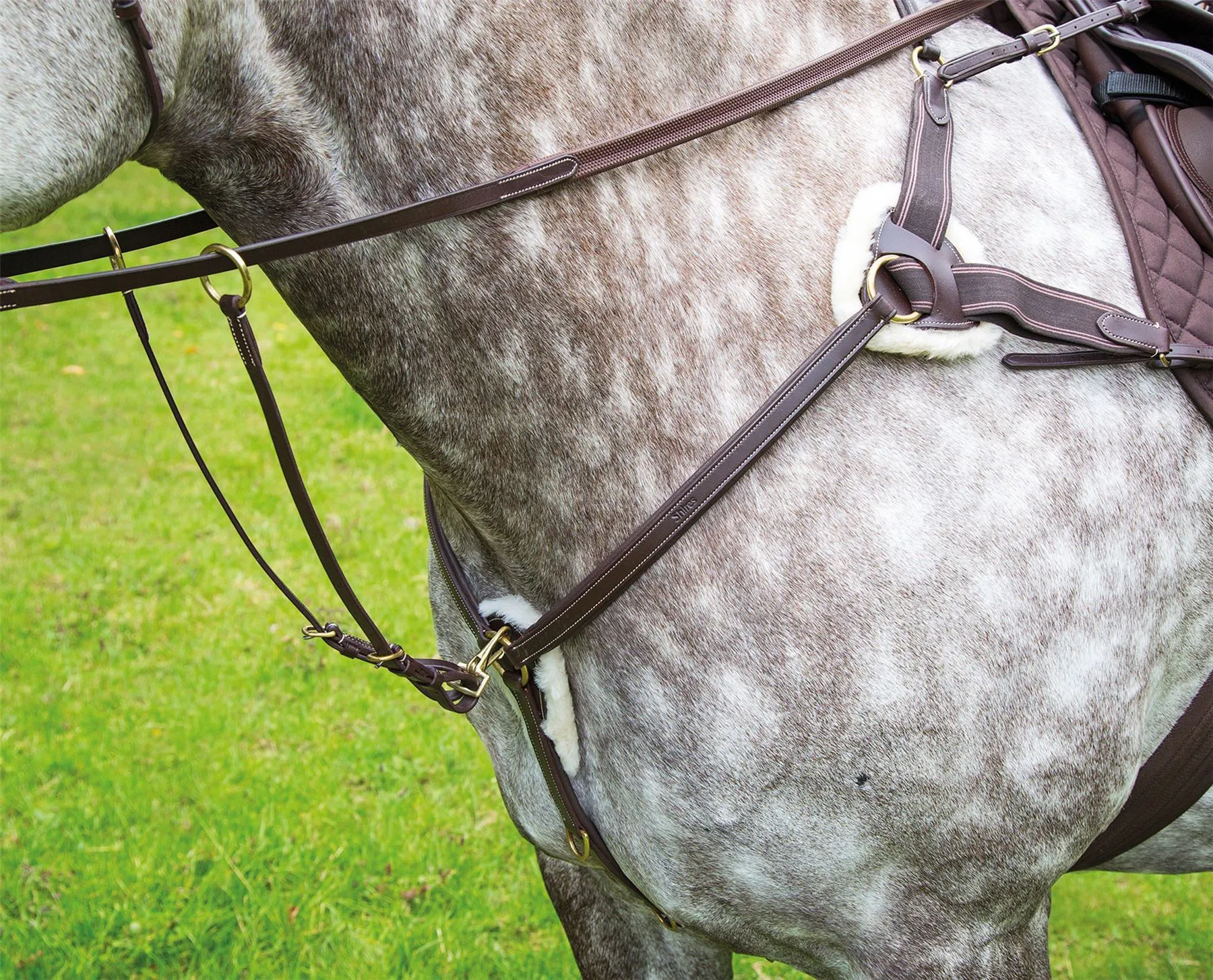Shires Salisbury Five Point Breastplate