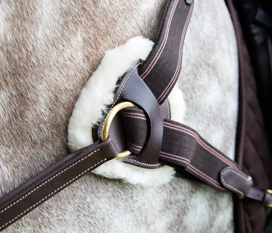 Shires Salisbury Five Point Breastplate