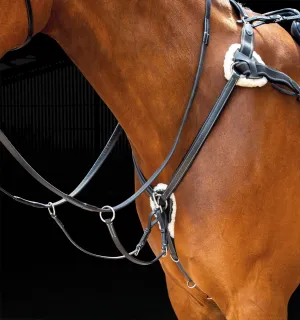 Shires Salisbury Five Point Breastplate
