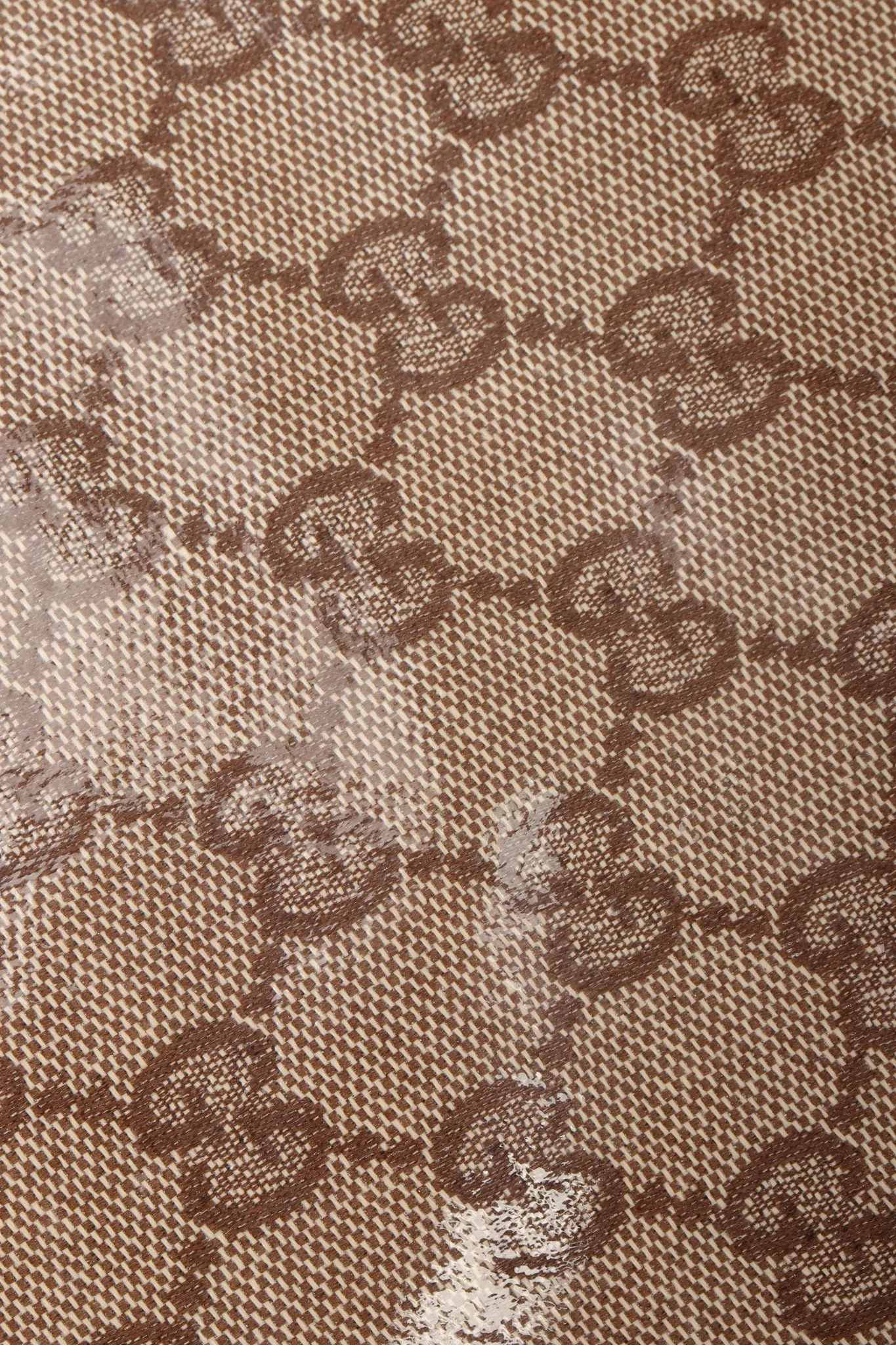Shoe Tote Bag