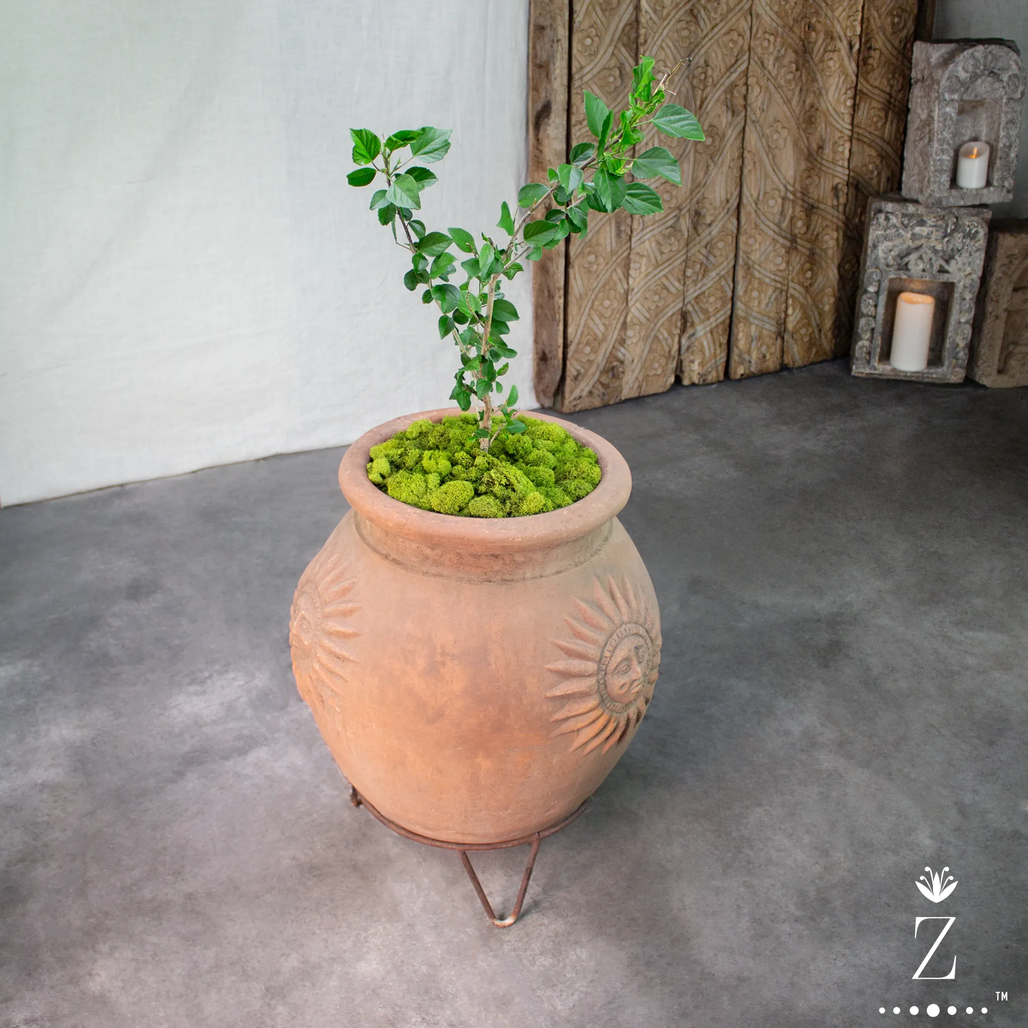 Sol Planter with Iron Stand. Vintage Terracotta pot.