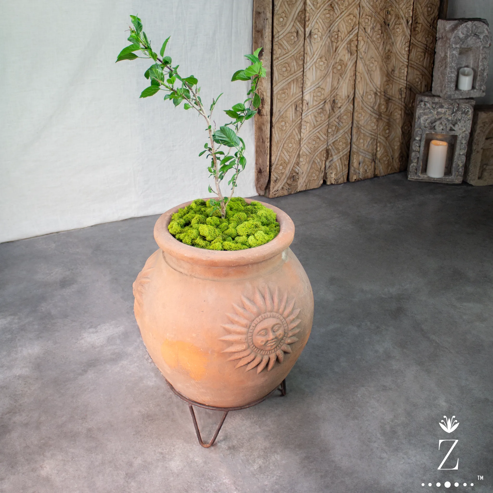 Sol Planter with Iron Stand. Vintage Terracotta pot.