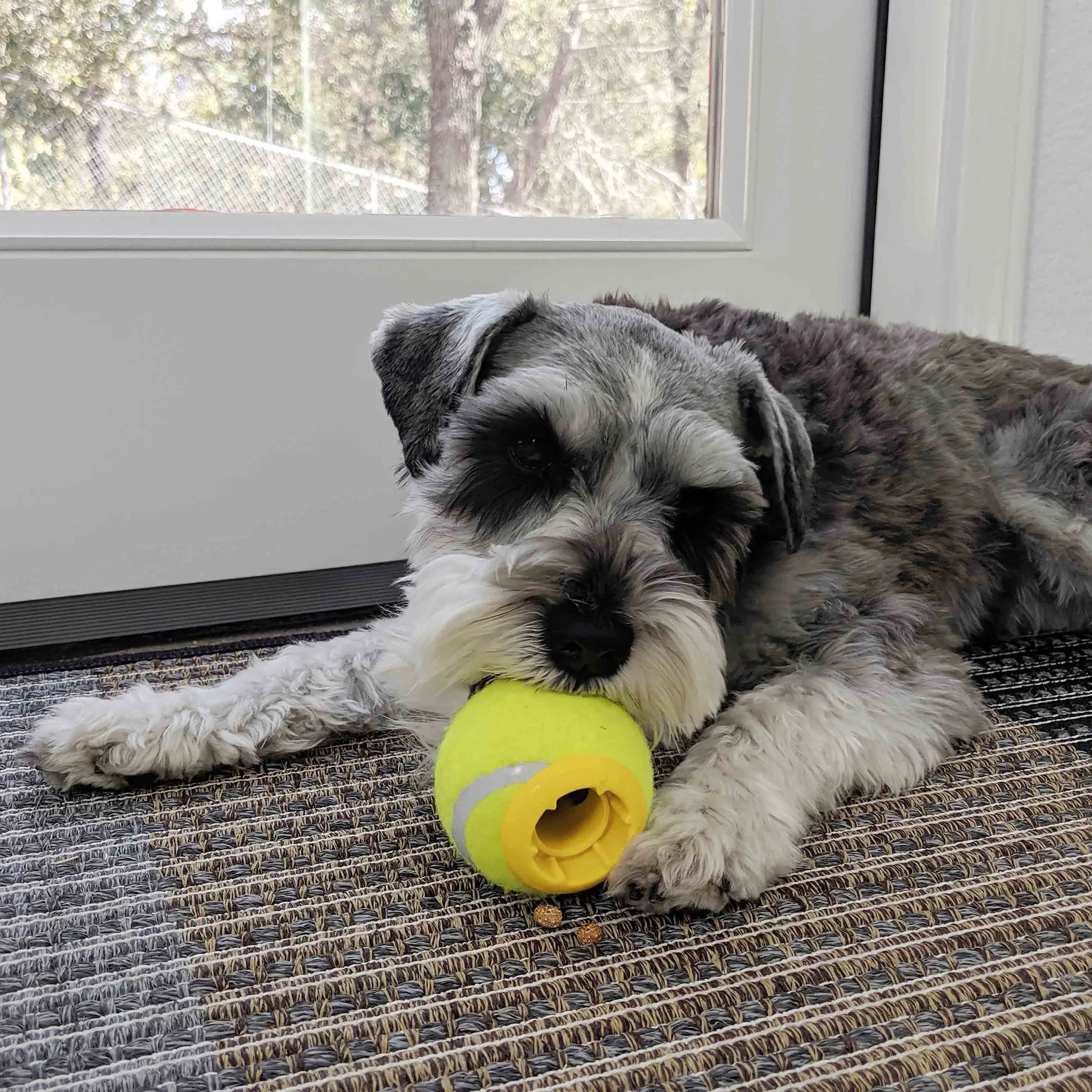 Tennis Treats