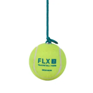 TRB 100 EASY TO LEARN CRICKET TRAINING TENNIS  BALL