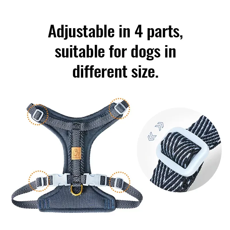 Truelove Comfort Fashionable Series Harness Leash Suit Convenient Poop Bag Dispenser TLH2912