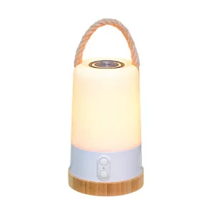 Wild Land Jade Bluetooth Camping Light